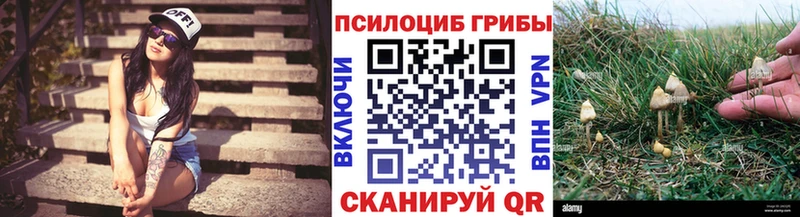Псилоцибиновые грибы ЛСД  Заполярный 